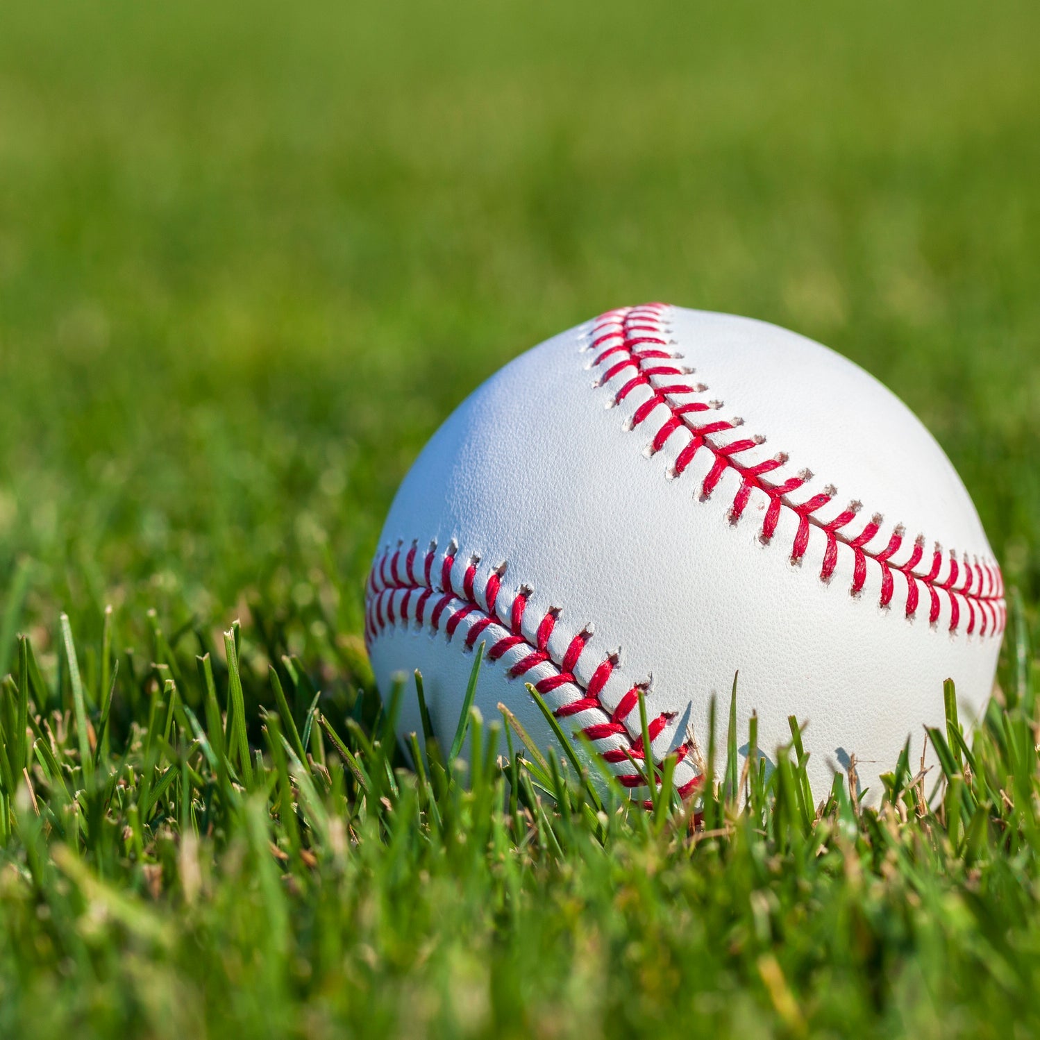 Shop Premium Baseballs at Smash It Sports