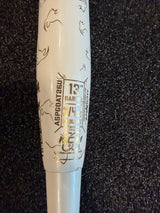 2026 Anarchy GOAT 2-Piece End Loaded USSSA Slowpitch Softball Bat ASPGOAT26U