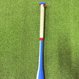 2023 Proton Series 2 "The Website" Slowpitch Softball Bat [USED-UB-204] 26oz