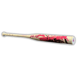 2026 Anarchy Rosa Reaper 2-Piece End Loaded USSSA Slowpitch Softball Bat ASPROSA26U