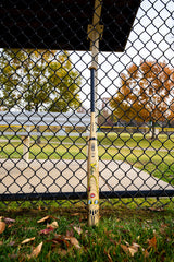 2025 Victus Beacon Gold USSSA Slowpitch Softball Bat - VSPBG2YU