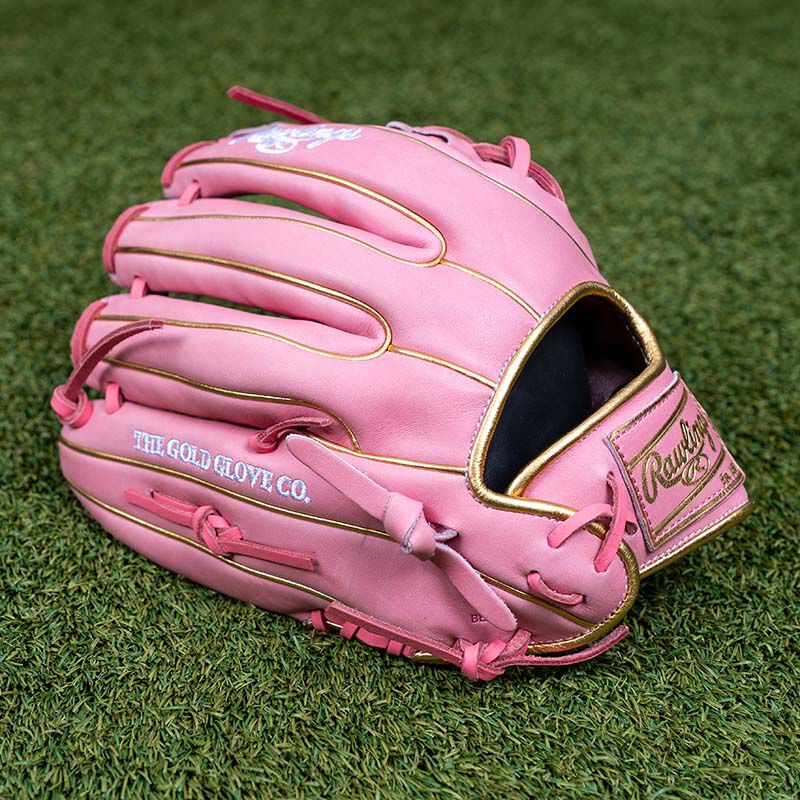 Rawlings Heart of the Hide 12