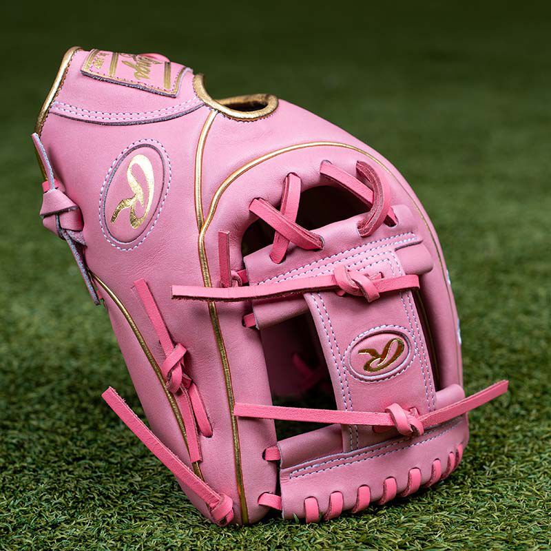 Rawlings Heart of the Hide 12