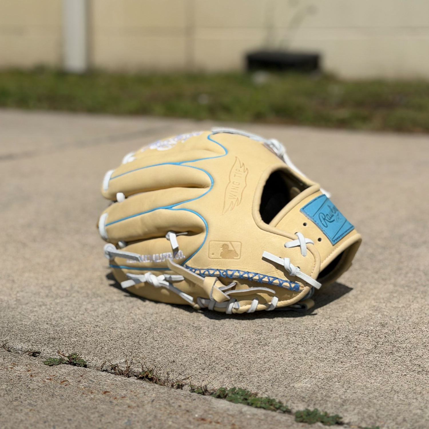 Rawlings Heart of the Hide 11.5