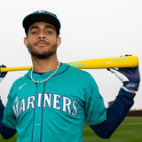 Victus Julio Rodriguez JRODSHOW Pro Reserve Wood Baseball Bat - VRWMJROD-YL/CB